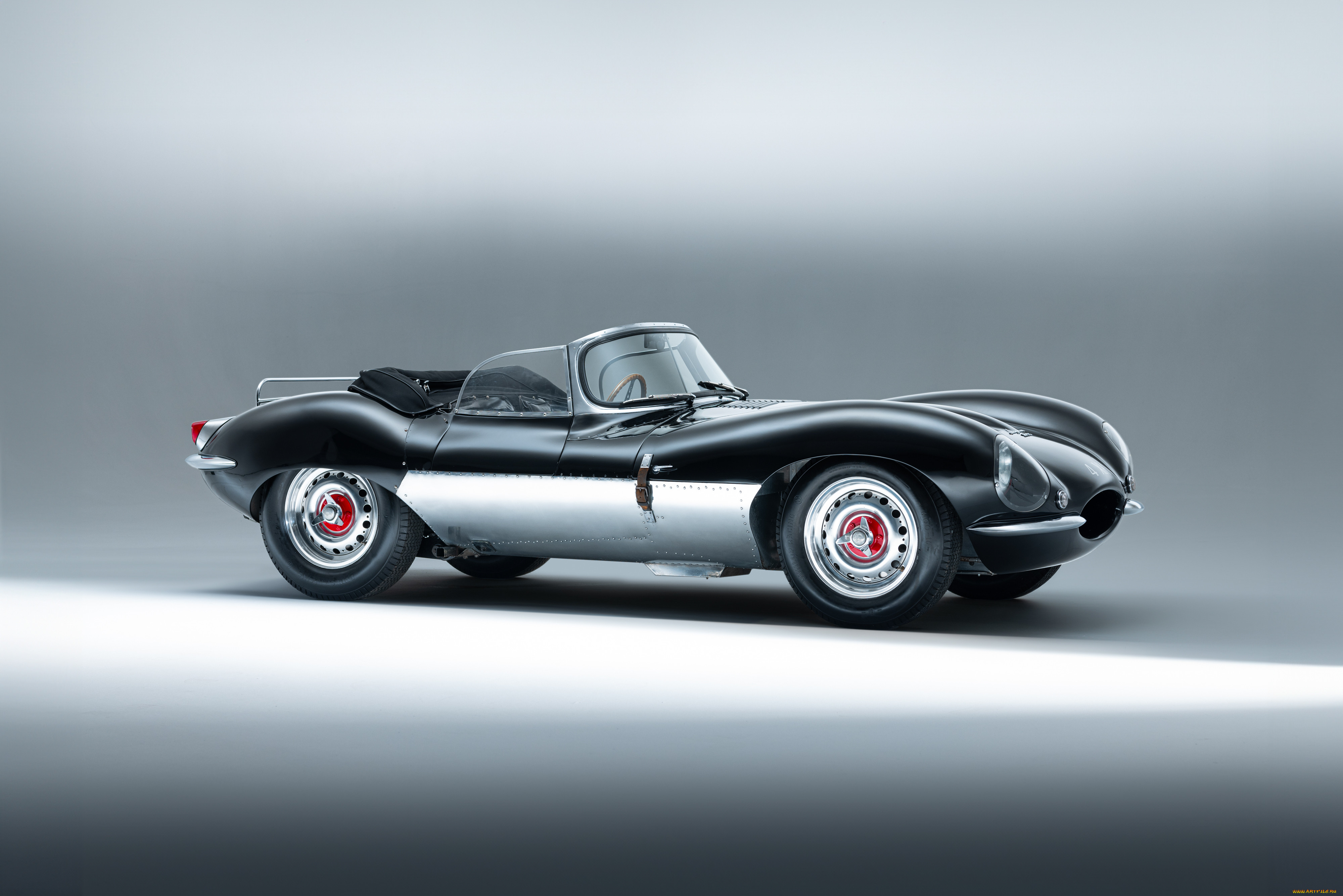 , jaguar